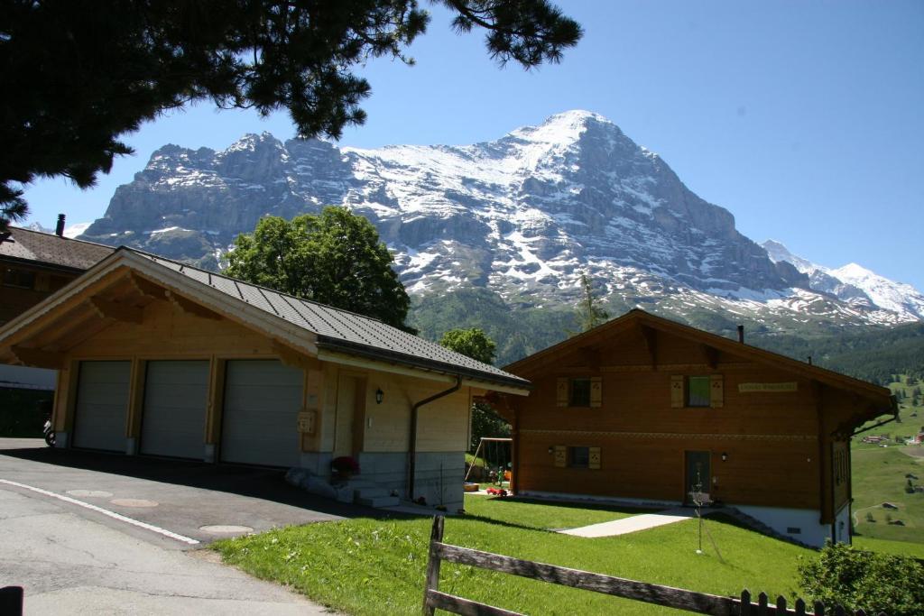 Chalet Baergbaechli グリンデルヴァルト エクステリア 写真