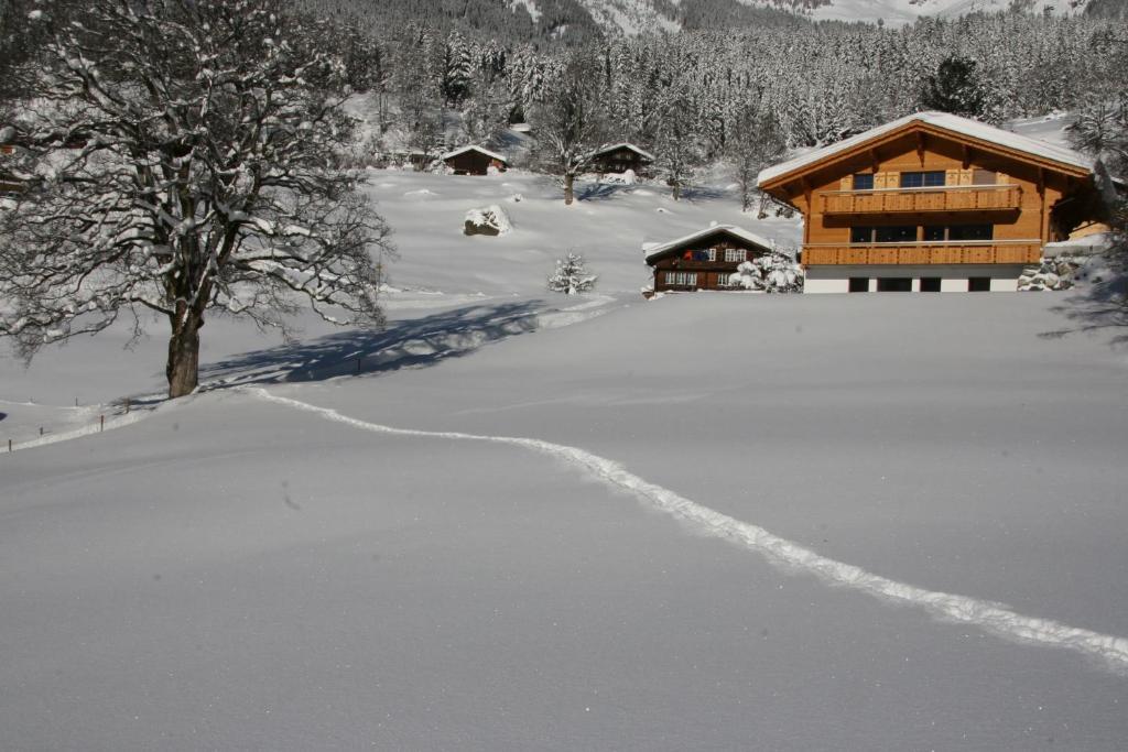 Chalet Baergbaechli グリンデルヴァルト エクステリア 写真