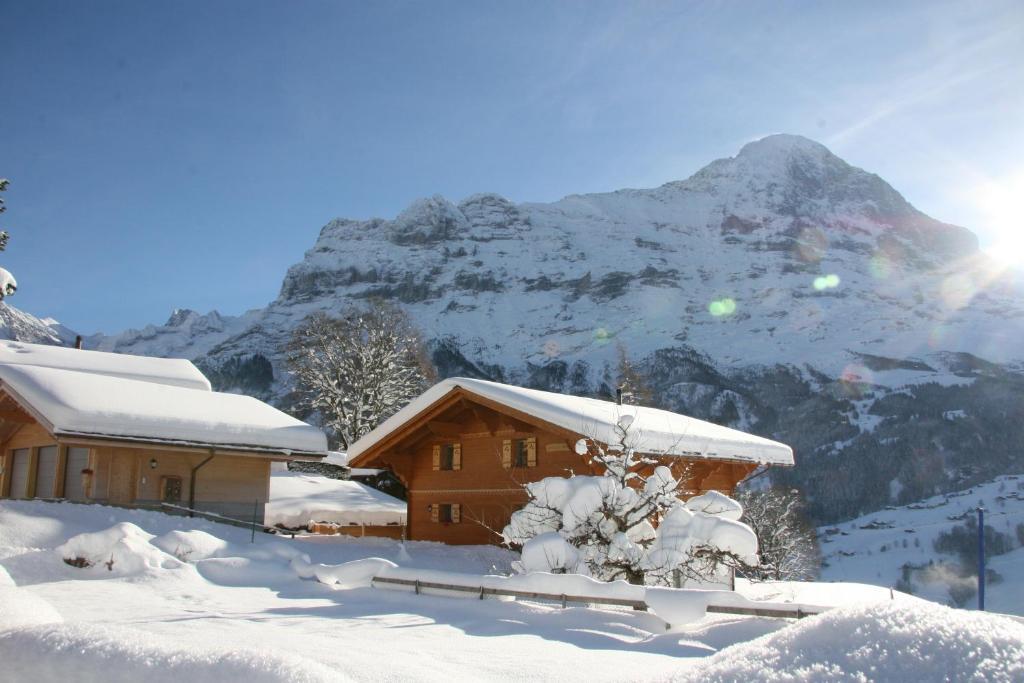 Chalet Baergbaechli グリンデルヴァルト エクステリア 写真