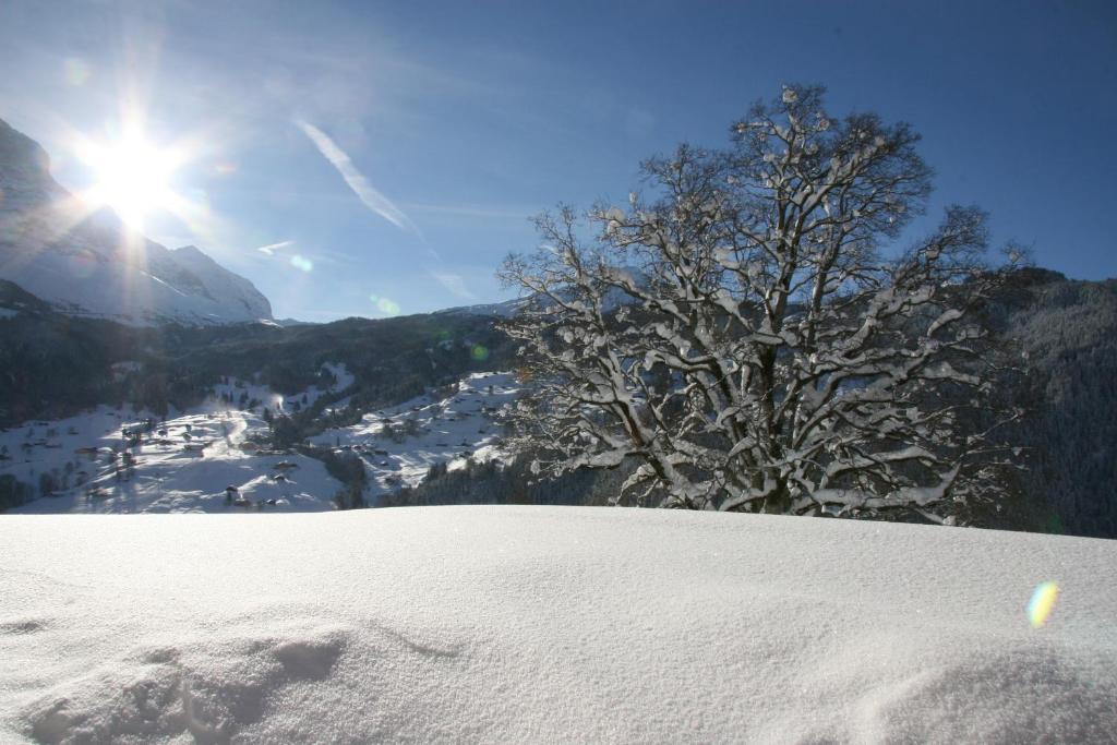Chalet Baergbaechli グリンデルヴァルト エクステリア 写真
