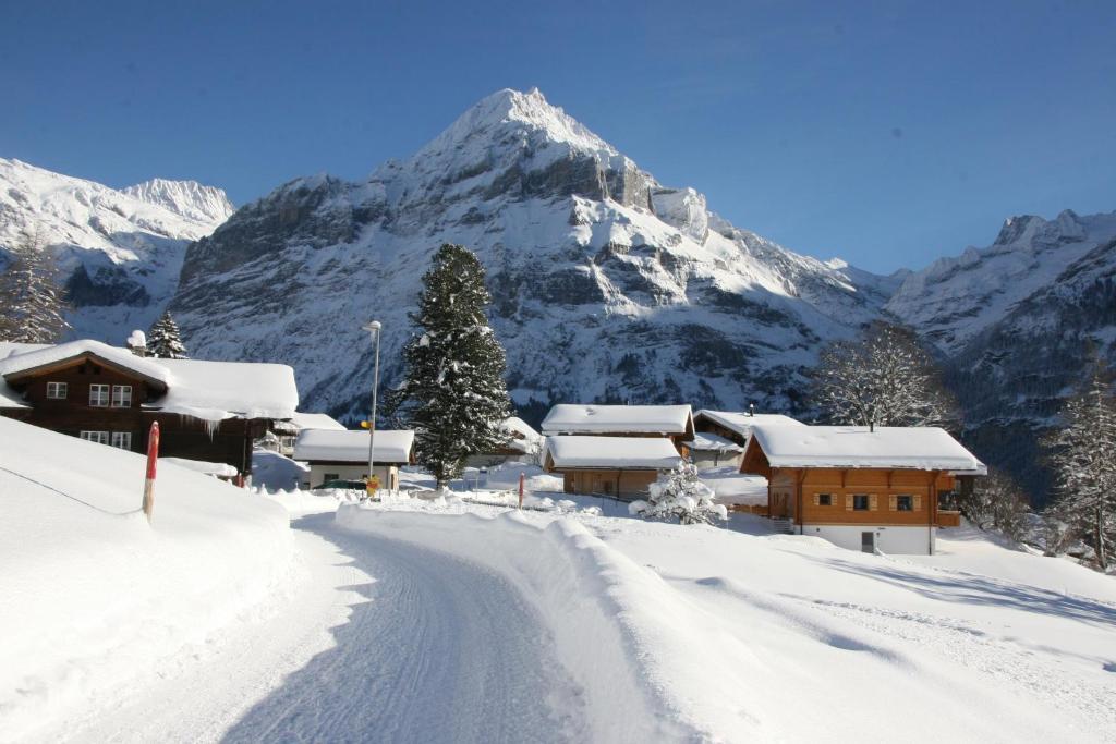 Chalet Baergbaechli グリンデルヴァルト エクステリア 写真